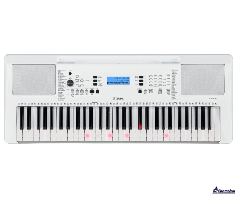 Yamaha EZ-300